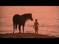 The Black Stallion Tribute (REMAKE)