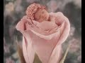 bellissimo video con foto e musica!!!!!!!!!!!