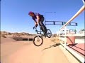 Josh Harrington - Premium Josh Harrington - Premium