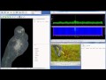 OptaSense - Digging Detection