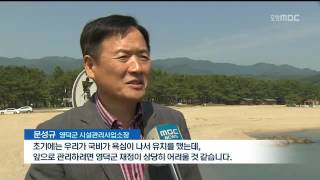 뉴스데스크
