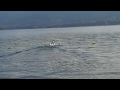 http://www.youtube.com/watch?v=sEVmbsgj8Es