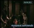 Anubi rock'n'roll dog plays AAA and improvise