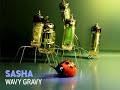 Sasha - Wavy Gravy [progressive]