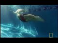 Brandon Routh Swimming Brandon Routh Swimming