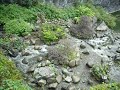 SDC10295.AVI
