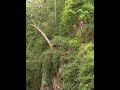 Rope Swing-Slengtau Nimbin bad landing.avi