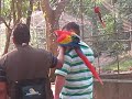 Birds growling