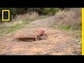 Doomsday Preppers - Spider Hole