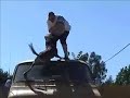 Chaos - Dantero\