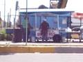 congal de birria la mejor birria de tijuana
