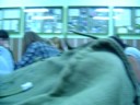 videos de z kamerą wśród zwierząt