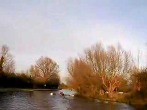 See video See video