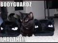HILArous Cat Captions vol.3 HILArous Cat Captions vol.3