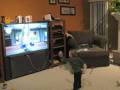 Roman Wii Boxing