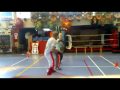 Kungfu fighting by Shifu Earl Blijd