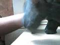 Katlin&Connor's Claymation Spisode 3