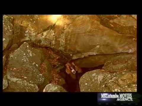 AFRICA HELP (RHEMA SABAOTH)
