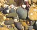 Tide Pools at Swami\