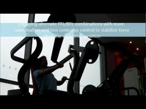 Pure Strength Chest Press Progressions