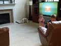 Tommy Sings