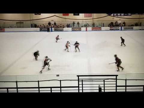 Peewee State Tourney Goal