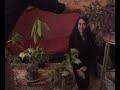 Akousmaflore - Végétaux musicaux sensibles et interactifs