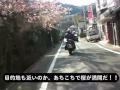 �ţ֣ϣá��ϣƣơ����ź���:YouTube������=66��