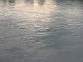 The Danube and Linz
