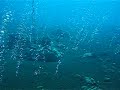 Balahibong Manok Underwater HotSpring.AVI