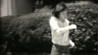 化石の世界