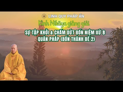 NIKAYA Giảng Giải - Sự Tập Khởi & Chấm Dứt Bốn Niệm Xứ 8 - Quán Pháp ( Bốn Thánh Đế 2)