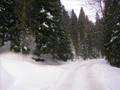 Krynica-Zdrój in winter