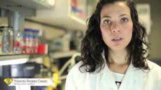 No permitamos que se rompa nuestra Ciencia. Sin fondos ellos no pueden ser superhéroes.