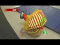 Clowns, Acrobats Visit KCRA 3 Clowns, Acrobats Visit KCRA 3