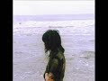 Đếm lá ngoài sân - Lê Cát Trọng Lí