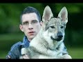 Crying Wolf Utu ( Jutu, U2 )