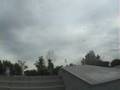 modesto skaters