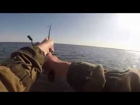 рыбалка на нижней волге видео в 2015 году видео рыбалка на нижней волге видео в 2015 году видео