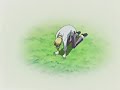 ouran high school host club's sad memories