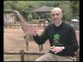 Passeio Animal - Girafa