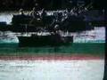 videos de Central America at Cardboard Boat Race