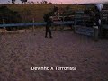 Devinho x Terrorista