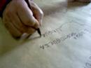 Capacitação Professores em Permacultura na Escola