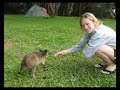 Baby Roo