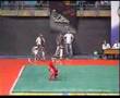 Wushu Nan Quan hand form
