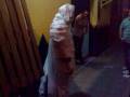 catuxa momia.mp4