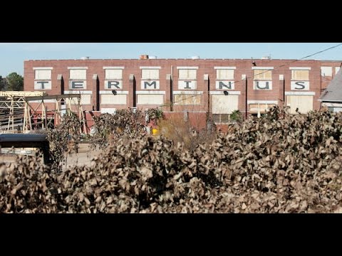 review trailer - The Walking Dead Season 5 Well guys, it has finally arrived. The much waited for and anticipated trailer of The Walking Dead Season 5. As expected, debuting at San diego Comic Con. A nice...
