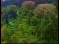 videos de Our Samoan Secret