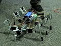 Autonomous Hexapod Test A